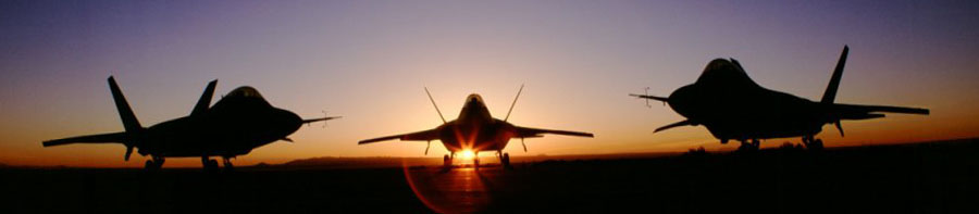 3%20raptors%20sunset%20900x400%202deg%20lr.jpg